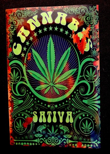 Adesivo canapa sativa - adesivo,
