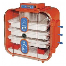 Incubatrice Uova Novital 162 Digitale-Manuale-Resistenza 60+140W-Covatutto-Galli
