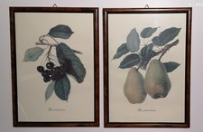 Set 6 Quadretti per Sala