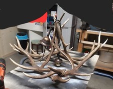 Corna cervo lampadario - cervo,