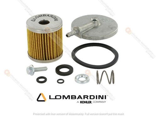Filtro gasolio guarnizione