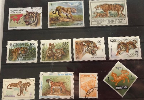 Collezione tiger - collezione,
