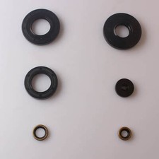 Set paraolio motore per