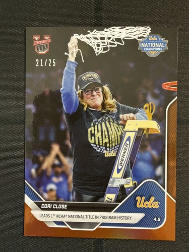 Carta basket cori - carta, close