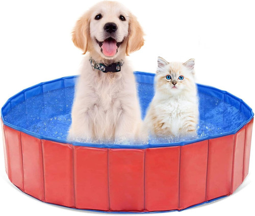Piscina portatile per animali - portatile,