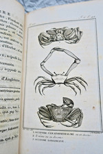 Storia Naturale Dei Crostacei