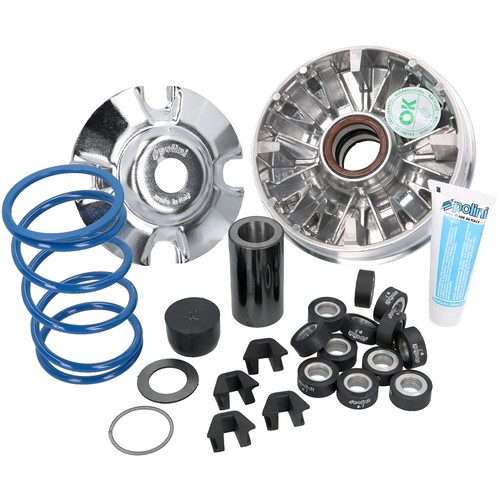 241 741 variatore polini - 241.741,