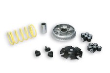 VARIATORE MALOSSI 5113134