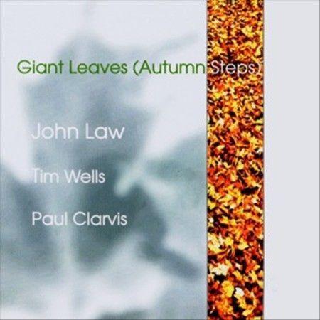 Giant leaves - leaves, (autumn
