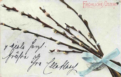 Pasqua - pasqua,