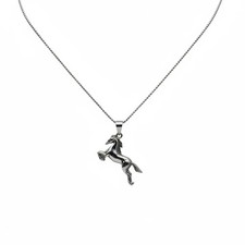 Collana Uomo Argento 925 con
