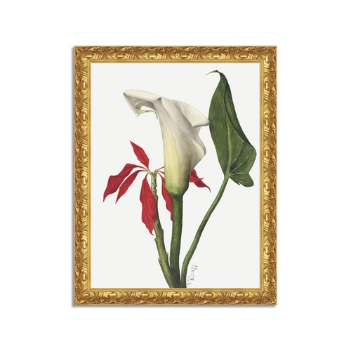 Quadro stampa tela effetto - quadro,