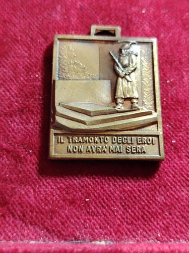 Medaglia alpino alpi apuane - medaglia,
