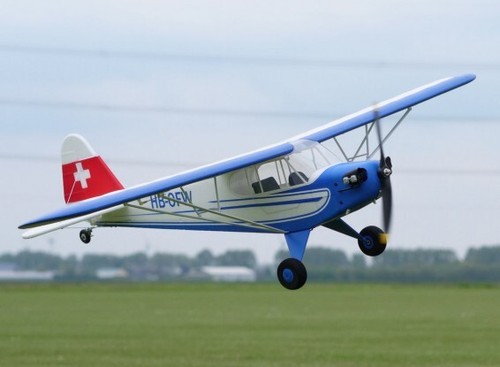 Piper bianco blu - piper,