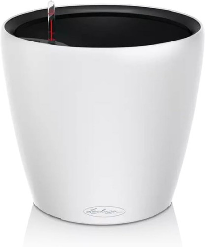 Classico color 14290 - color, ls