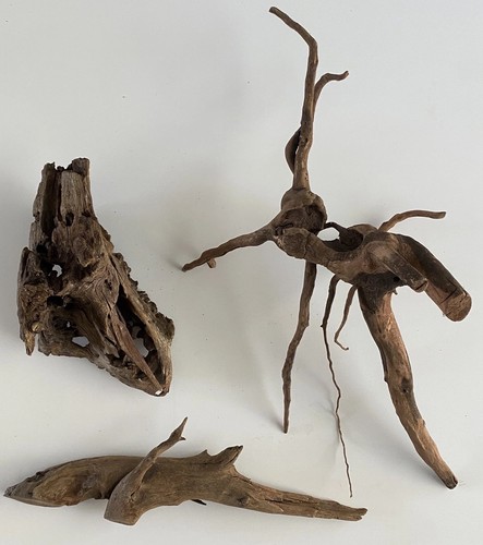 Acquario pesciera driftwood - acquario,