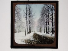 Winter snow scene tree - snow,