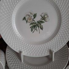 VINTAGE SPODE VIRGINIA  SET