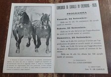 CARTOLINA D'EPOCA ORIGINALE CONCORSO CAVALLI CREMONA 1920 ORARIO FERROVIE 