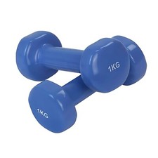 COPPIA 2 MANUBRI PESI DA PALESTRA MANUBRIO PESETTI PER FITNESS BILANCIERE 1.0KG