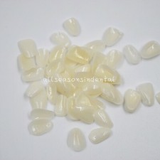 50 Pz/Confezione Cerotto