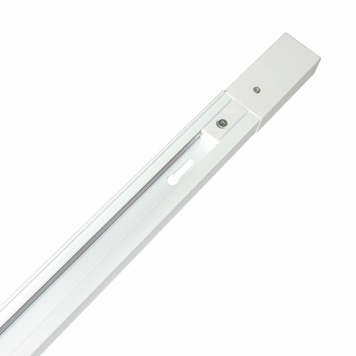 Binario elettrificato monofase - elettrificato,