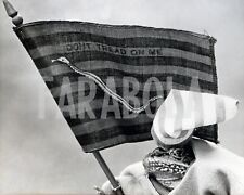 Foto Vintage Animali Anfibi Rana mascotte con la bandiera stampa 25x20 cm