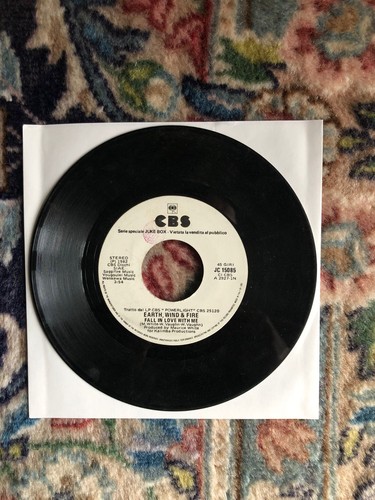 Vinile giri fall in - vinile,