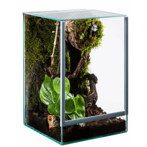 Diversa terrario vetro - in,