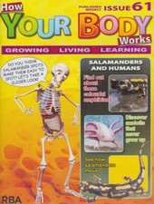 How your body works-issue