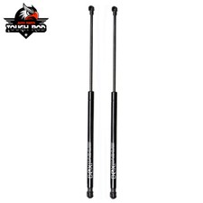2X Rear Liftgate Lift Supports