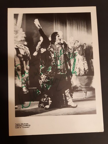 Amedeo zambon tenore foto - zambon,