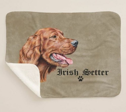 Setter irlandese razza cane - irlandese,
