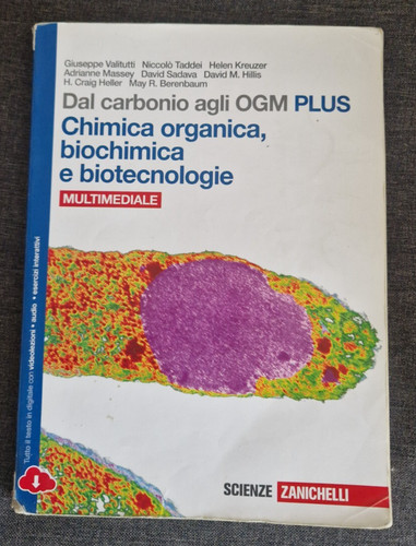 Dal carbonio agli ogm plus - carbonio,