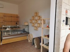 Vendo Attrezzatura Negozio 