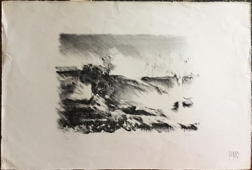 Giuseppe ajmone litografia - giuseppe,