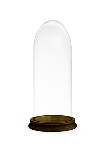 Campana teca cupola vetro - campana,