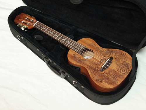 Ukulele elettrico concerto - da,