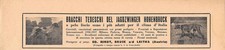 Bracchi tedeschi del Jagdzwinger Hohenbruck. Advertising  1937