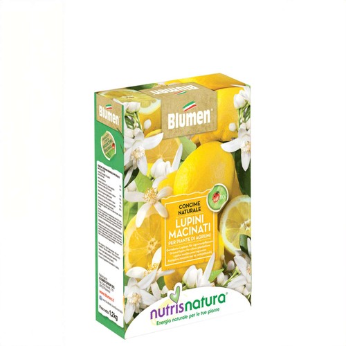 Blumen concime naturale lupini - blumen,
