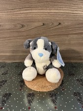 My blue nose friends nuovo con