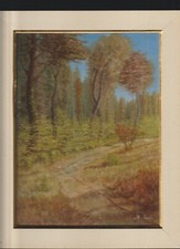 QUADRO DIPINTO AD OLIO FIRMATO NINO PAROLA ? SOTTOBOSCO CM. 23,5 X 18