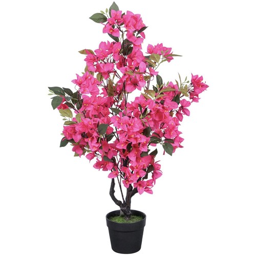 Albero pianta rampicante - albero,