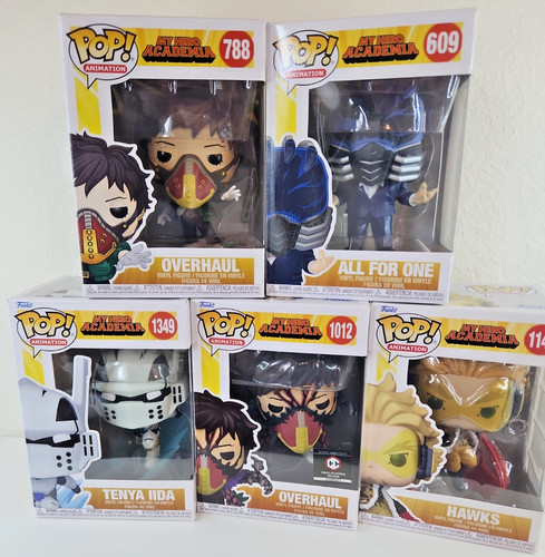 Lotto pezzi hero academia - lotto,
