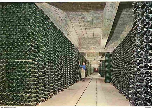 Carte postale vignes caves - -,
