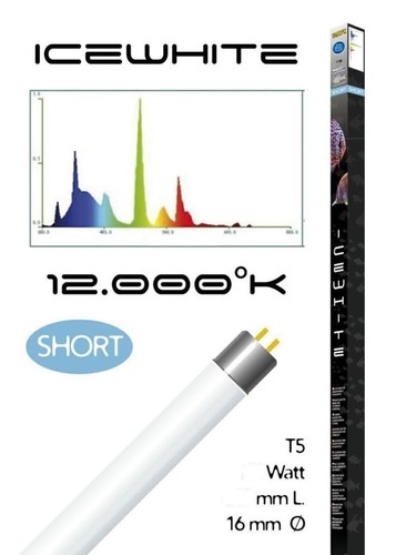 Neon luce bianca compatibile - , e