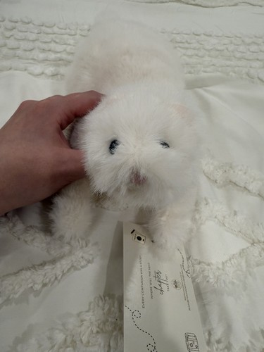 Peluche furetto bianco pesato