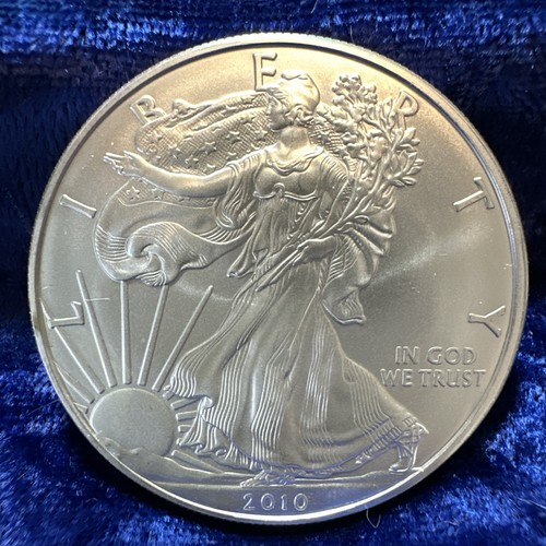 Dollaro usa 2010 oncia 31 - 1,