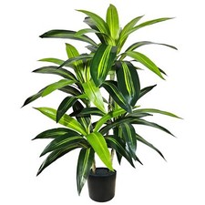 Albero di Dracaena Artificiale