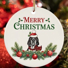 Divertente puntatore inglese